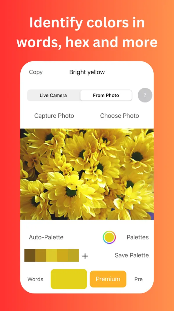 Color Identifier - Scan real-world objects for color codes